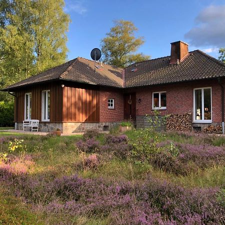 Landhaus Mitten In Der Lueneburger Heide Undeloh Exterior photo