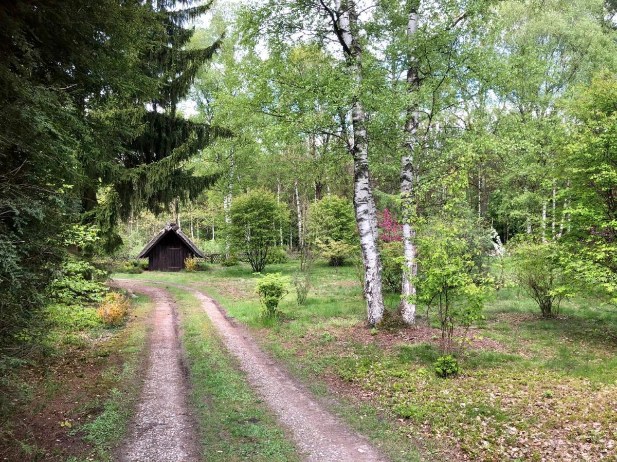 Landhaus Mitten In Der Lueneburger Heide Undeloh Exterior photo