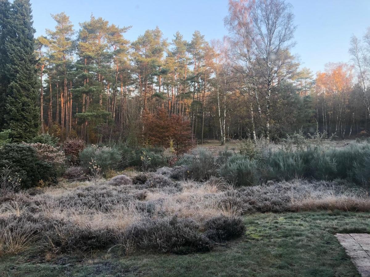Landhaus Mitten In Der Lueneburger Heide Undeloh Exterior photo
