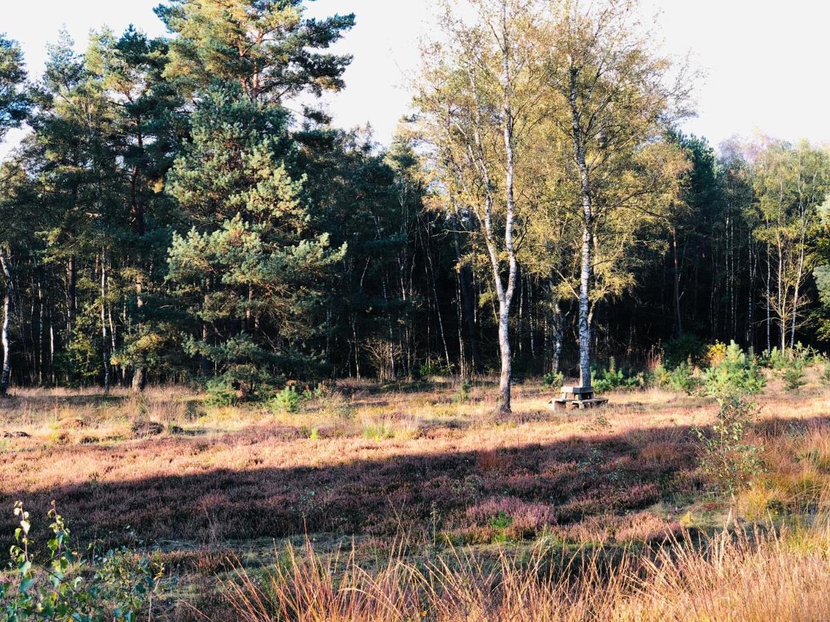 Landhaus Mitten In Der Lueneburger Heide Undeloh Exterior photo